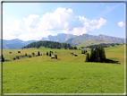 foto Alpe di Siusi